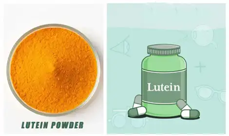 Lutein Powder Market - Expanding Opportunities in Health and Nutritional Supplements